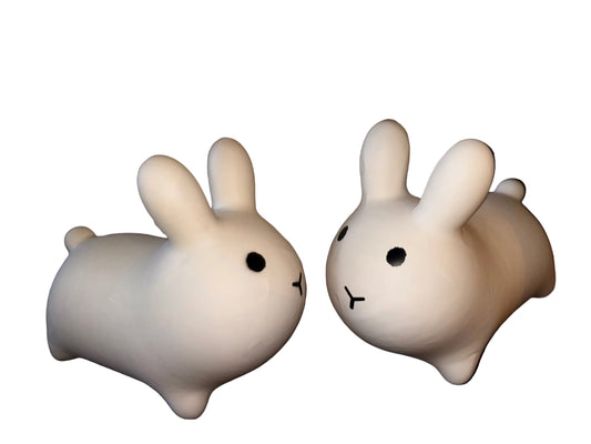 Softplay Bunnies